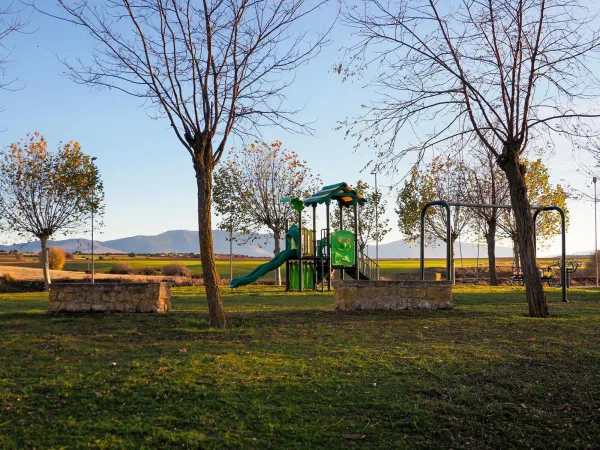 Sequera de fresno